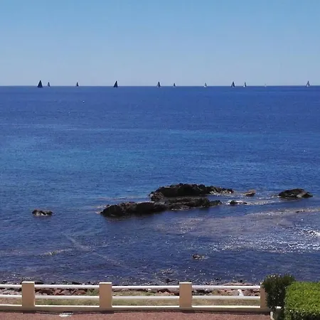 Mediterranee *